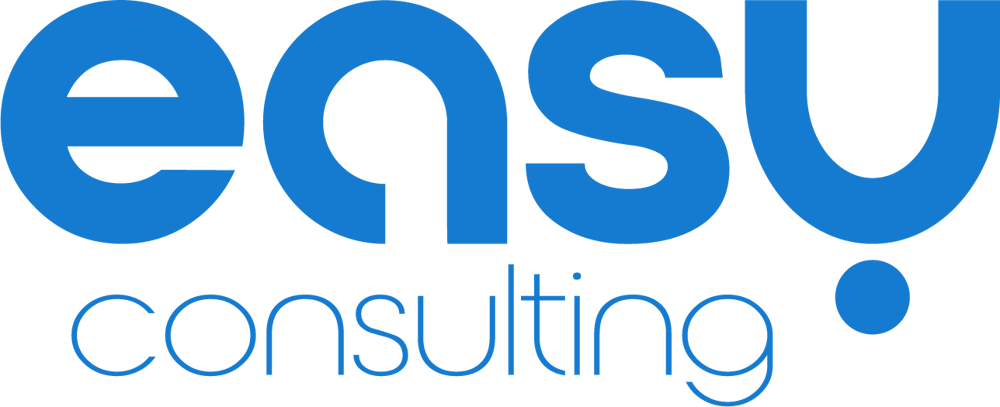 Easy Consulting Group GmbH